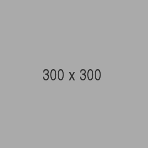 Partner 01